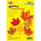Trend Enterprises Maple Leaves Classic Accents Variety Pack, 36 Per Pack, PK3 T10958 - alternate 5